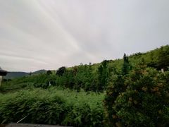 -旺山·浪头人家