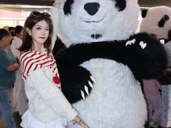 -江燕路万科里