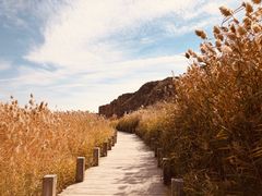-水洞沟旅游区