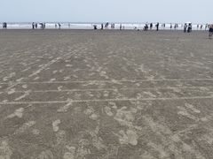 -江山半岛白浪滩景区