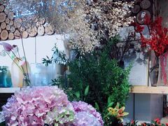 -谷莠子花艺气球派对·绿植造景·花艺沙龙(东海缤纷天地店)