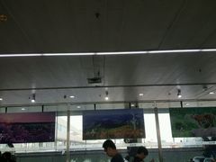 -哈尔滨太平国际机场