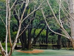 -徐家汇源景区-衡山公园