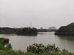 -海珠湖公园