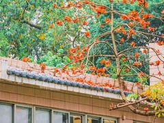 -烈士陵园(地铁站)