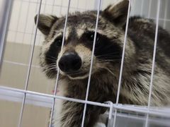 -平行世界·猫咖(首经贸店)