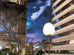 -桂满陇·海市蜃楼·黑金(国金店)