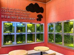 -芸山季·云南野生菌火锅(宝能环球汇店)