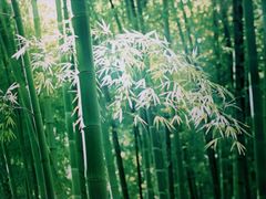 -中国杭州低碳科技馆