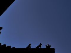 -杭州半山国家森林公园