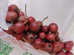 -大岭沟猕猴桃谷风景区