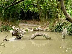 -汇龙潭