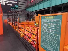 -极限PLAY运动娱乐新世界·团建派对表演休闲馆·室内高空游乐园