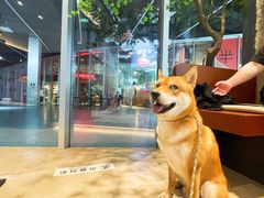 -LOOOAD COFFEE进度条(D9街区店)
