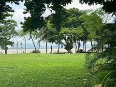 -深圳湾公园(南山区)