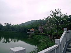 -大屏嶂森林公园