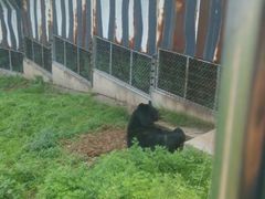 android_upload_pic-西安秦岭野生动物园