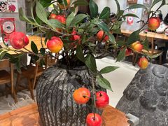 -小豆海棠(人民南路店)