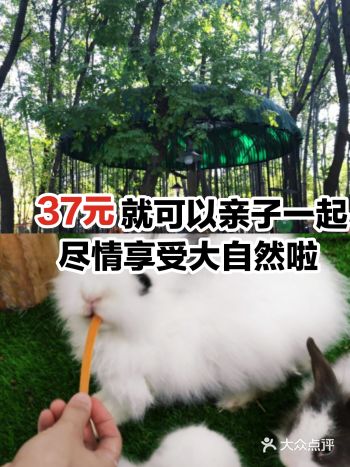 OMG！来这里就可以尽情享受大自然的美好