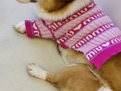 -怪兽屋·羊驼·猫咖·狗咖(俊华广场店)