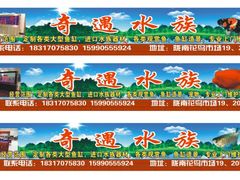 -陇南批发市场