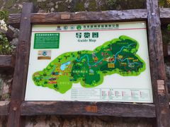 -西双版纳原始森林公园