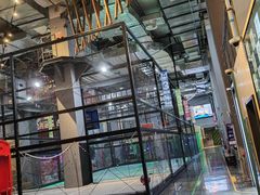 -运动派(北京店)