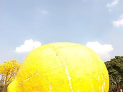 -顺峰山公园