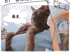 -喵屿·大理花园猫咖