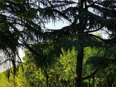 -汉长安城未央宫国家考古遗址公园