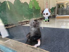 -大连森林动物园