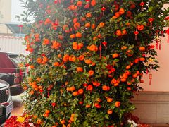 -聚福宝合苑食府(南头镇店)