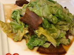 手撕圆白菜-106餐厅(山水文园店)