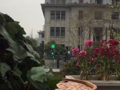 -吉庆街美食广场