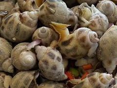 -光明招待所(邦凯科技园店)