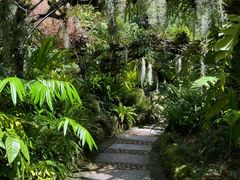 -深圳仙湖植物园