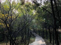 -北京十三陵国家森林公园蟒山景区