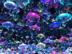 -天津梵高星空艺术馆(天河城旗舰店)