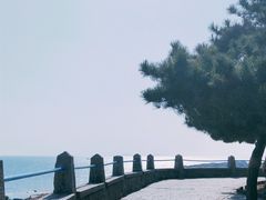 -八大关景区