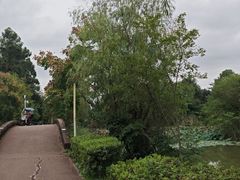 -白鹭湾湿地公园