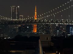 -台场海滨公园船码头