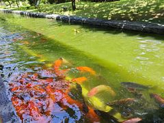 -南宁荔园维景国际酒店·荔园中餐厅
