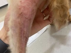 -萌兽医馆·犬猫专科·眼科中心·宠物医院(朝阳门分院)