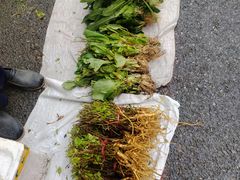 -永汉农贸综合市场