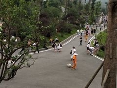 -枫香湖儿童公园