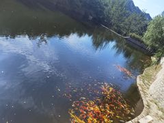 -昆嵛山石门里景区