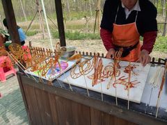 -合肥滨湖国家森林公园