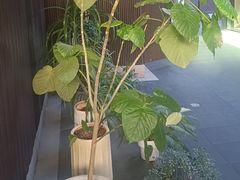 -阿伟海鲜楼·福建菜(涵江店)