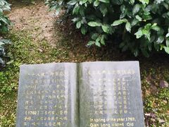 -十八棵（老龙井）御茶园(老龙井店)