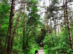 -帽儿山国家森林公园